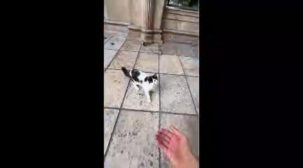   امکانات رویایی یک آپارتمان فوق لوکس در تهران به قیمت ۲۰۰ میلیارد تومان!