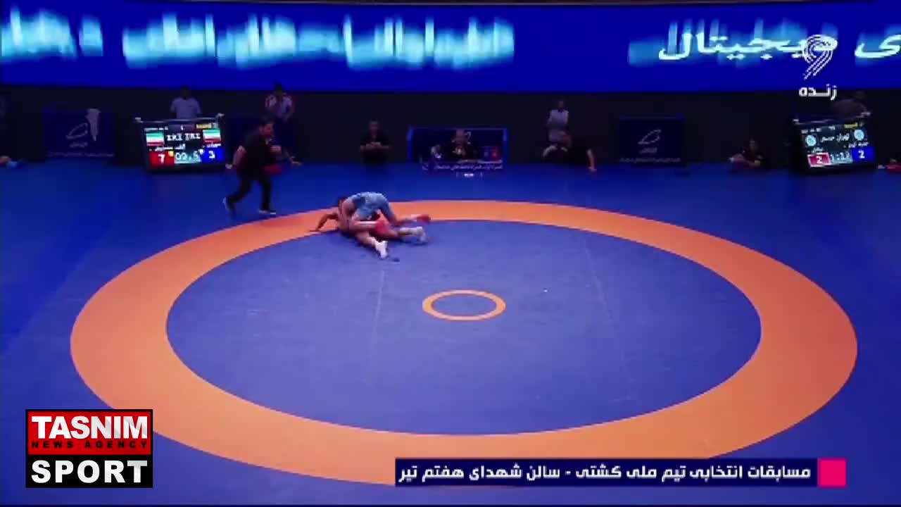   سنجاب پرنده دیدنی دانیال سهرابی به محمدرضا گرایی