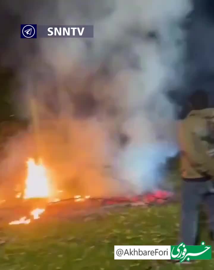   دستگیری عامل آتش زدن عمدی پارک‌های لس آنجلس