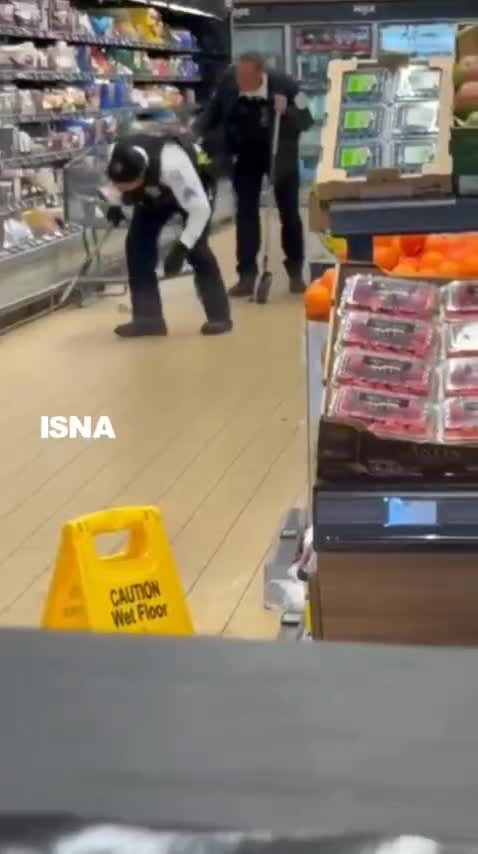   پیدا شدن گرگ وحشی در یخچال یک فروشگاه در شیکاگو