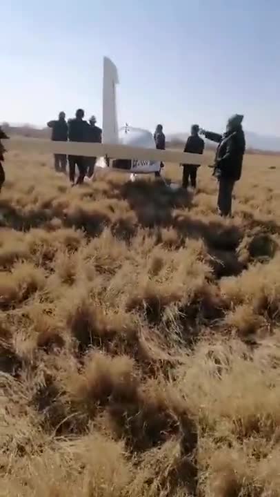   تصاویر جدید از برخورد پرنده با هواپیمای آموزشی در فارس