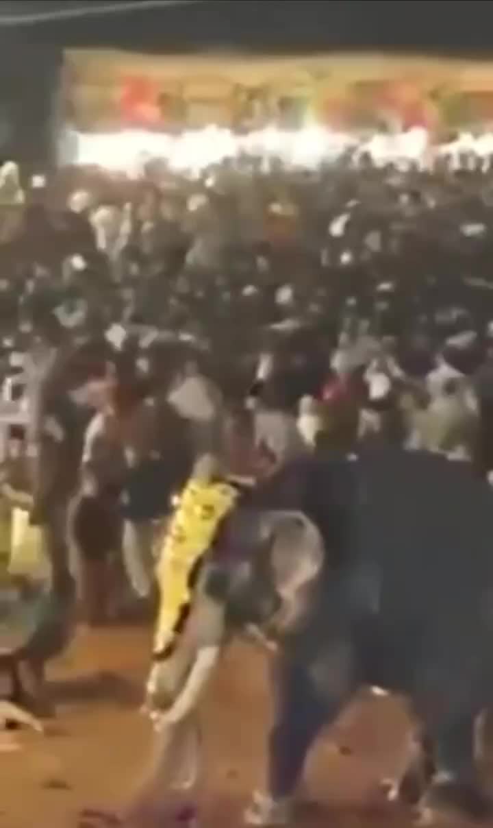   لحظه هولناک حمله فیل هندی به مردم