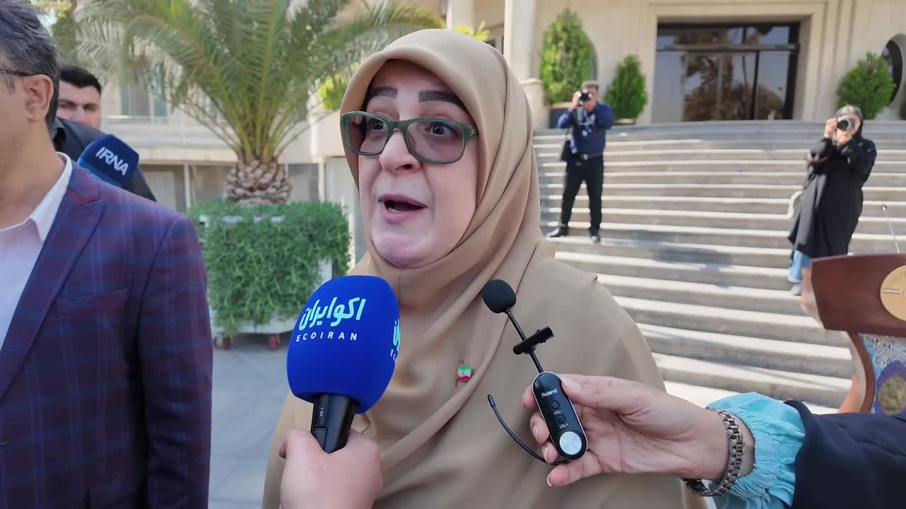   سخنگوی دولت: پیشنهاد مذاکره مستقیم به آمریکا دادیم اما ...