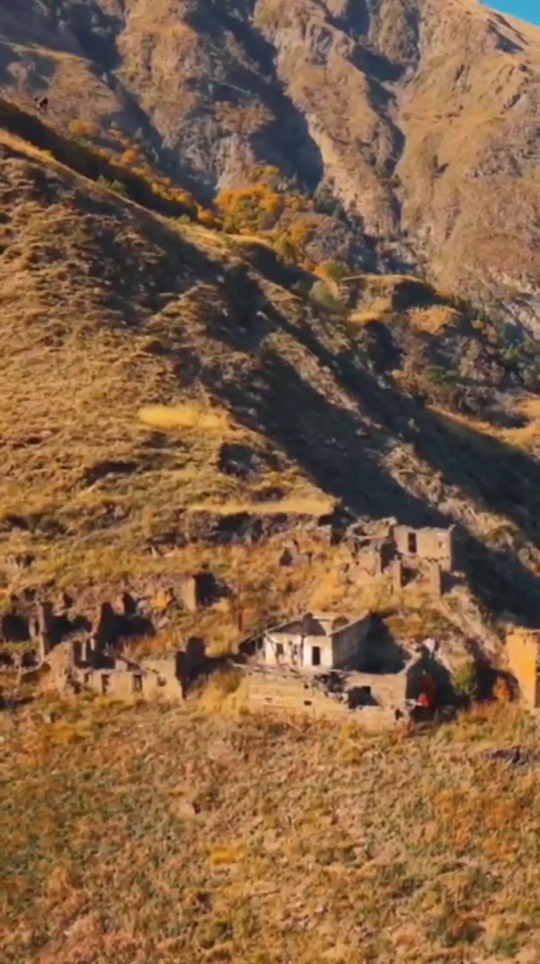   عقاب جسور کوادکوپتر موذی را ادب کرد