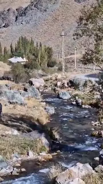   بازیگوشی گله گوزن‌ها در البرز جنوبی