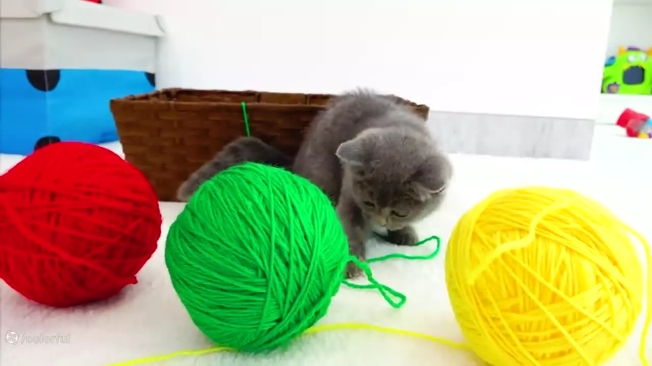 ولاد و نیکی-چالش ماشین بازی-برنامه کودک ولادو نیکی جدید-سرگرمی کودک کارتون ولاد