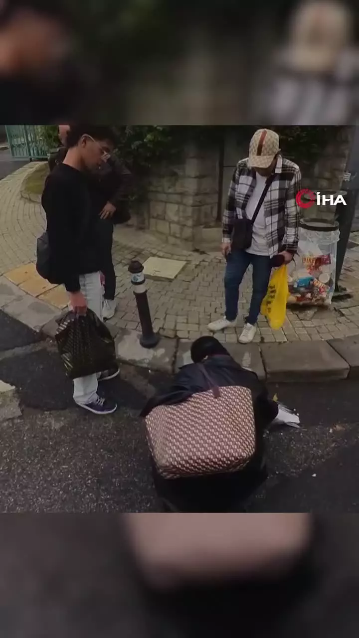   لحظه بی‌هوش شدن مرغ دریایی بعد از برخورد شدید با چراغ برق؛ شهروندان با احیای قلبی، جان پرنده را نجات دادند!