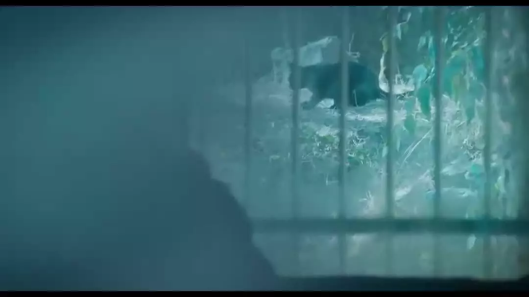 پوست شیر فصل ۳ و ۲ و ۱ کامل / شهاب حسینی