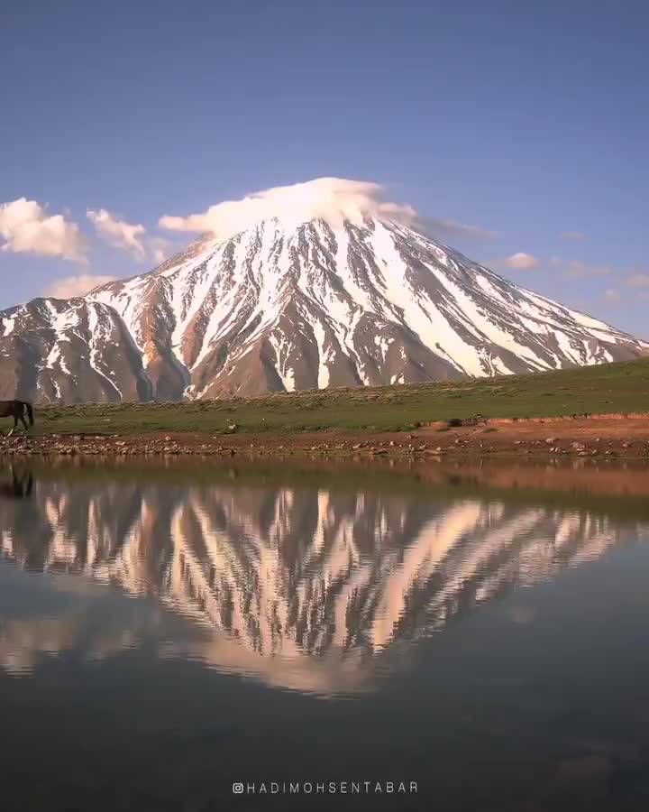   دلربایی اسب‌هایی وحشی در دامنه دماوند باشکوه