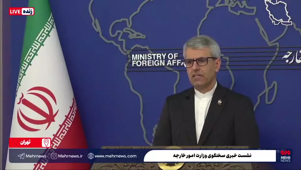    آیا مصر میانجی اختلافات ایران و آمریکاست؟ / سخنگوی وزارت خارجه پاسخ داد