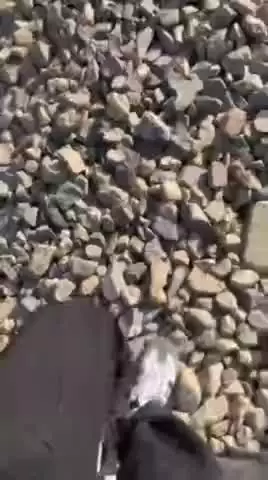   اختلال در خط ۵ مترو؛ مسافران وارد ریل شدند!