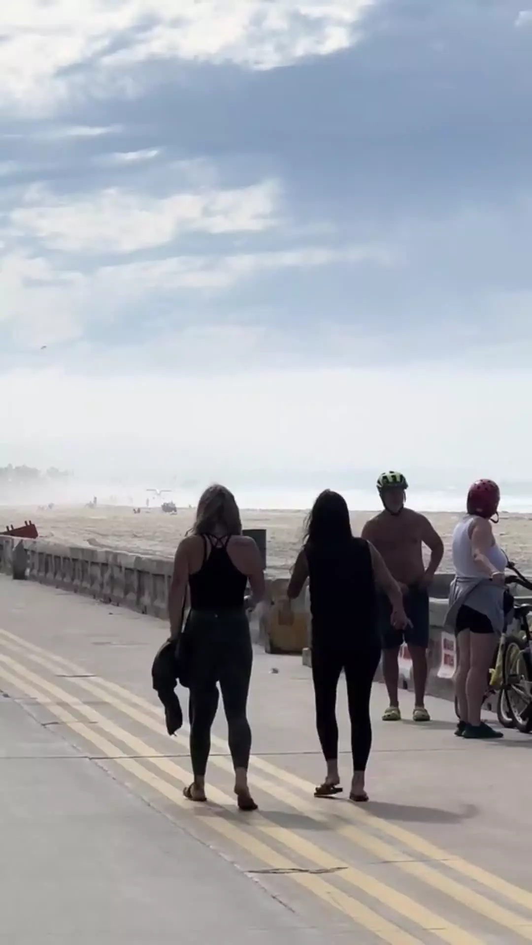   فرود اضطراری هواپیما در ساحل سن دیگو