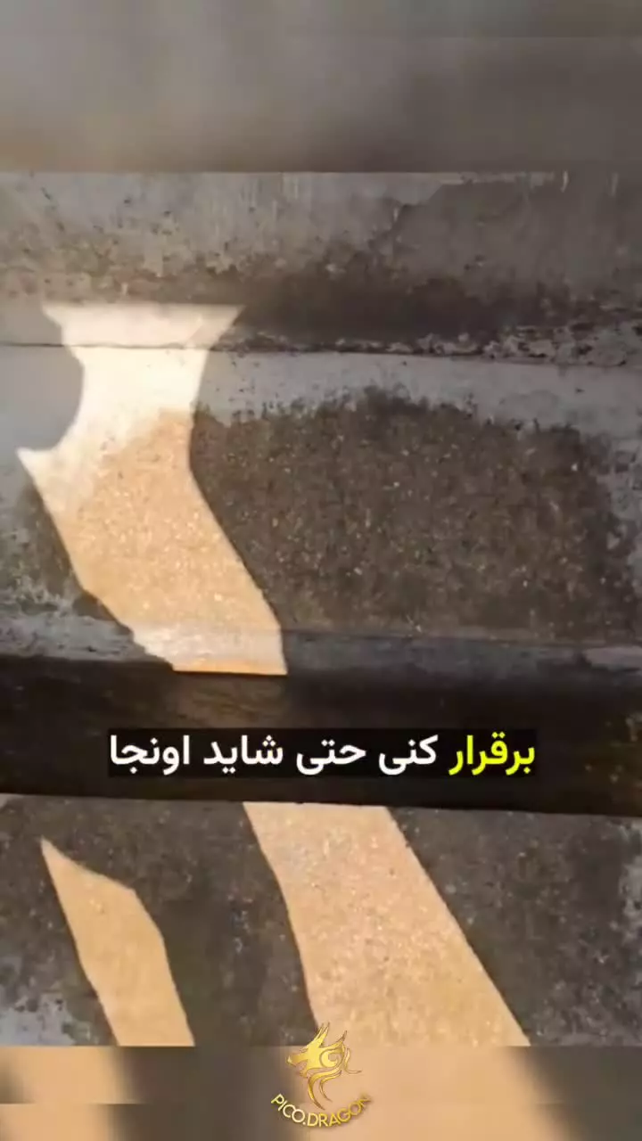 توالت های چین