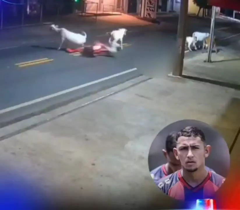   لحظه دلخراش مرگ فوتبالیست برزیلی پس از تصادف با گاو!