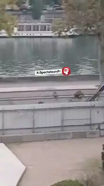   تصاویر جدید دزدی از موزه لوور