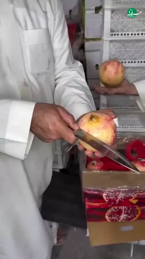   کیفیت بی‌نظیر انار صادراتی ایران؛ ذوق‌زدگی شهروند کشور عربی!