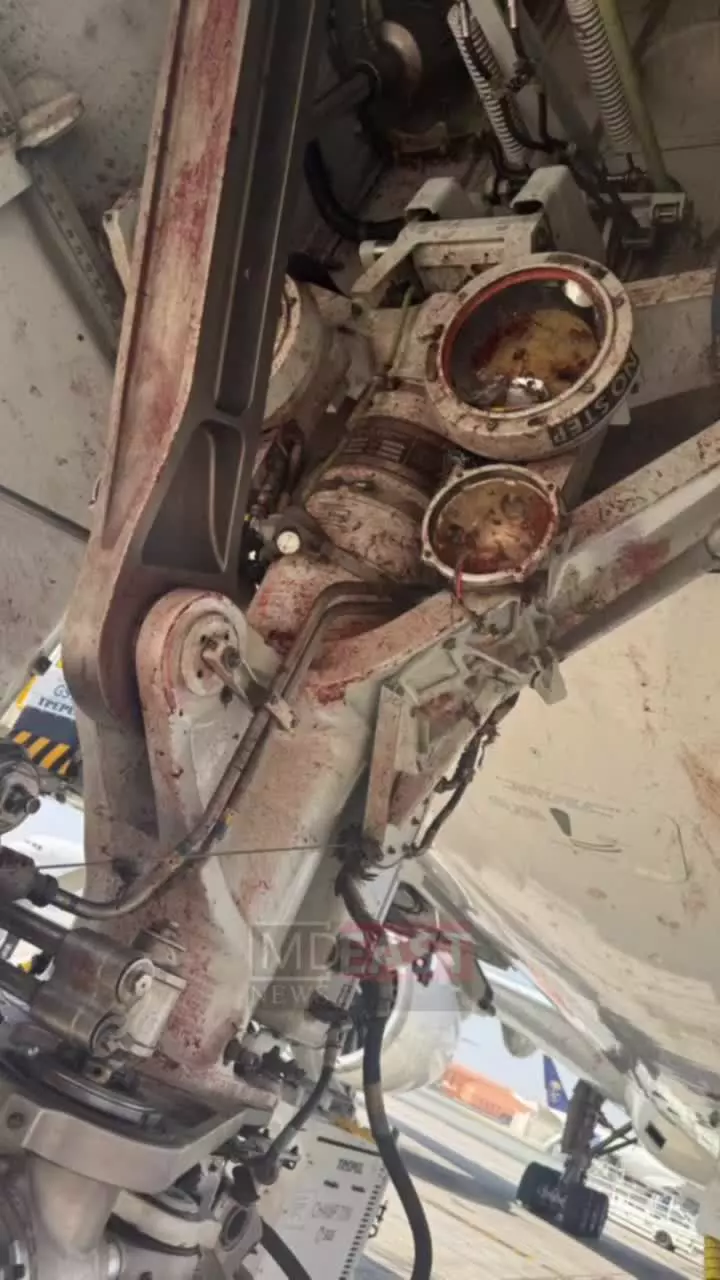   تصاویری از برخورد هواپیمای مسافربری عربستان با دسته‌ای از پرندگان