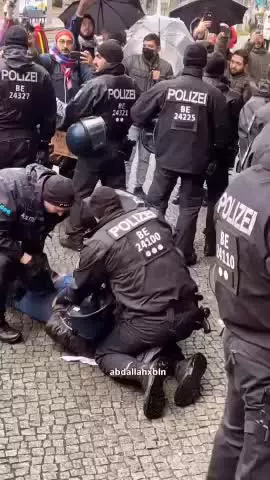   ضرب‌وشتم حامیان فلسطین توسط پلیس آلمان