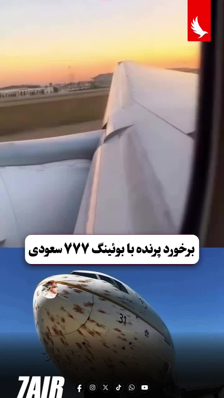   لحظه برخورد پرندگان با بوئینگ ۷۷۷ عربستان
