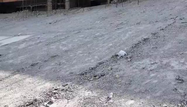    تازه‌ترین تصاویر از بازسازی ورزشگاه آزادی