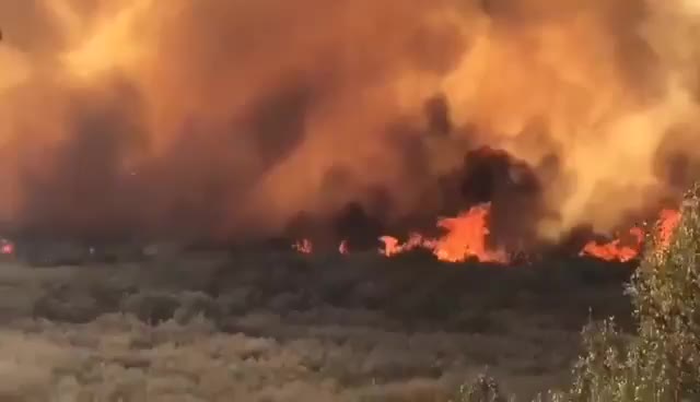   تصویری از آتش‌سوزی گسترده تالاب شیمبار در خوزستان شهرستان اندیکا