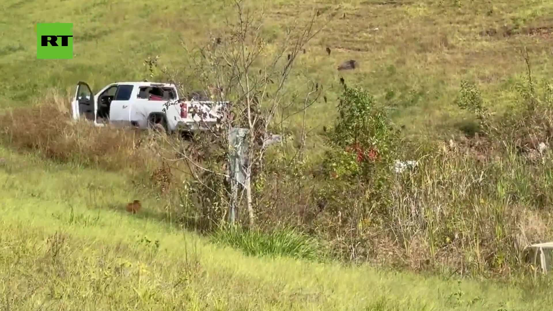   واژگونی کامیون حامل میمون‌های مبتلا به ویروس‌های خطرناک در آمریکا