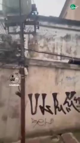   ترمز بریدن اتوبوس گردشگران در پورتو و شادی و سرخوشی دانشجوها!