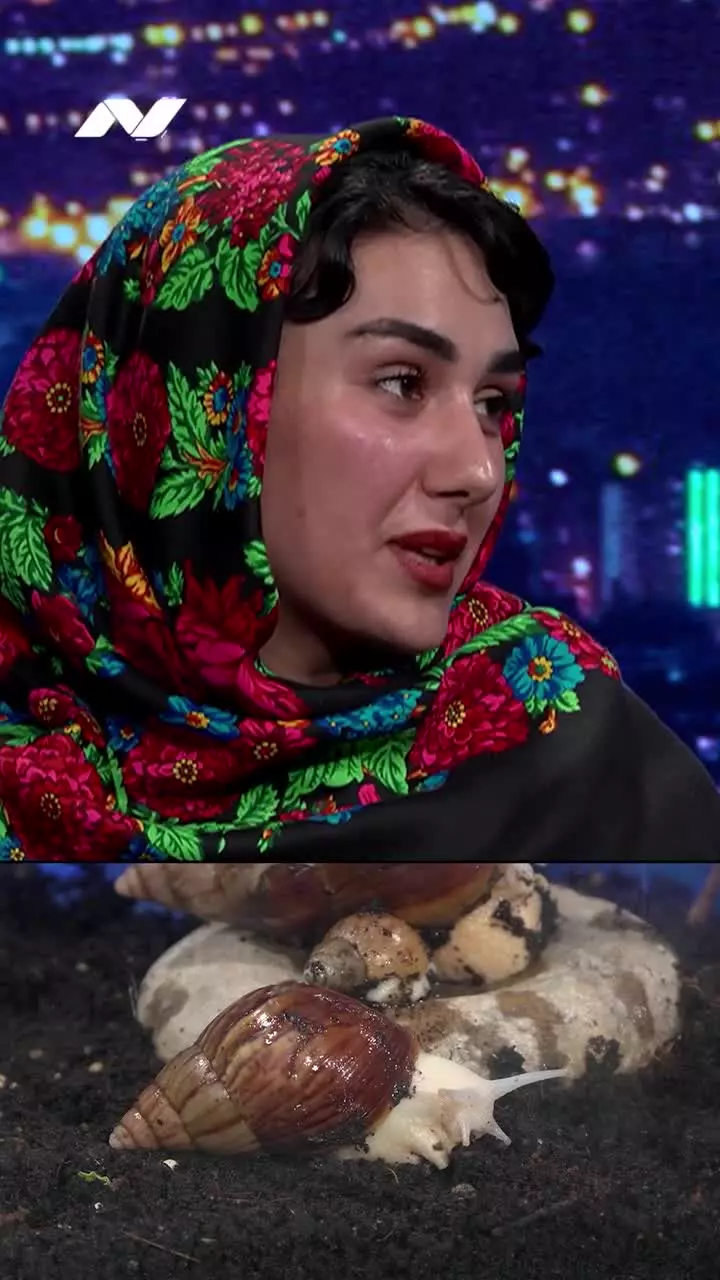   زن ایرانی با یک شغل عجیب؛ حلزون چرانی!