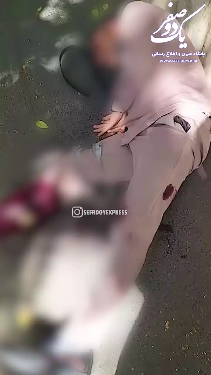   زمین‌گیر شدن سارق منزل با شلیک دقیق ماموران پلیس تهران در محدوده یوسف آباد