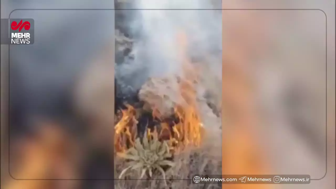    شعله‌های آتش در دامنه‌های دماوند زبانه کشید