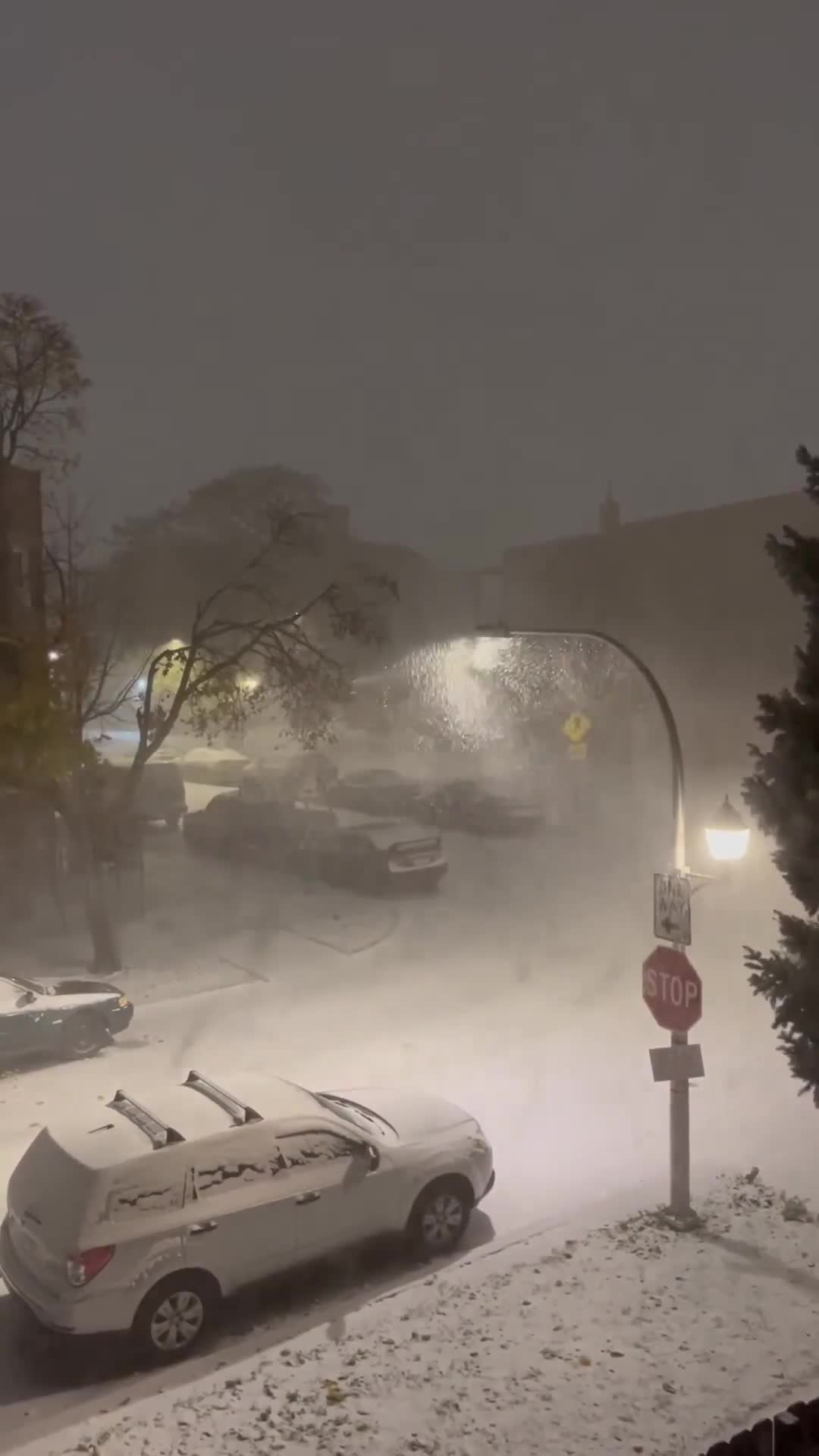   برف و بوران شدید ناشی از نفوذ توده هوای قدرتمند قطبی در آمریکا