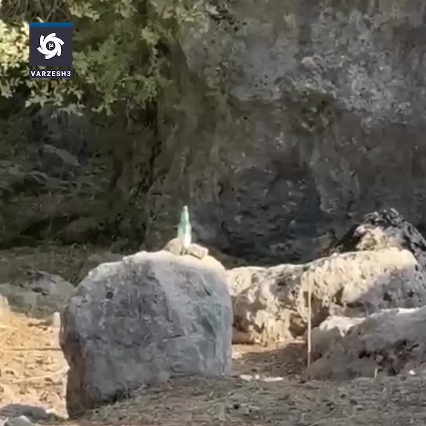   تیراندازی دقیق محمود فکری در دل طبیعت جلب‌توجه کرد!