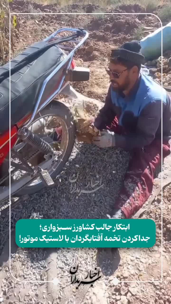   ایده جالب کشاورز سبزواری در جداکردن تخمه آفتابگردان