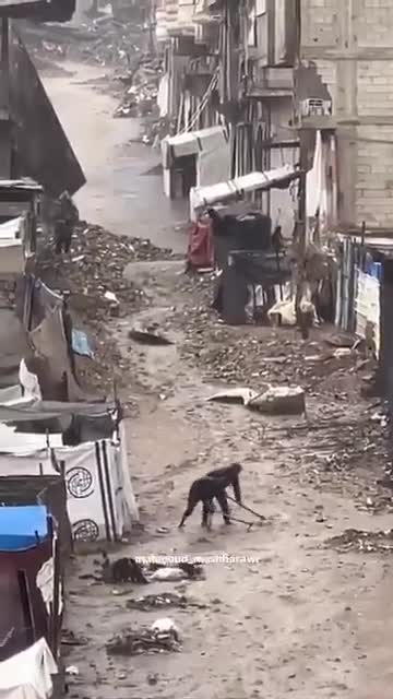   بارش شدید باران در غزه چادرهای آوارگان فلسطینی غرق آب کرد