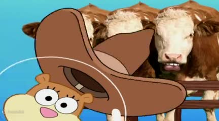 باب اسفنجی آپارات، انیمیشن باب اسفنجی، باب اسفنجی دوبله فارسی، باب اسفنجی