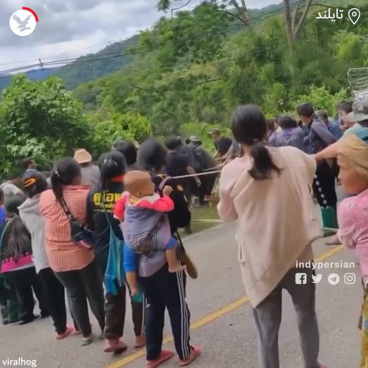   مردم با دست خالی خودروی سقوط کرده را بیرون کشیدند!