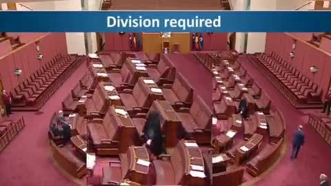   اقدام توهین‌آمیز سناتور استرالیایی علیه مسلمانان