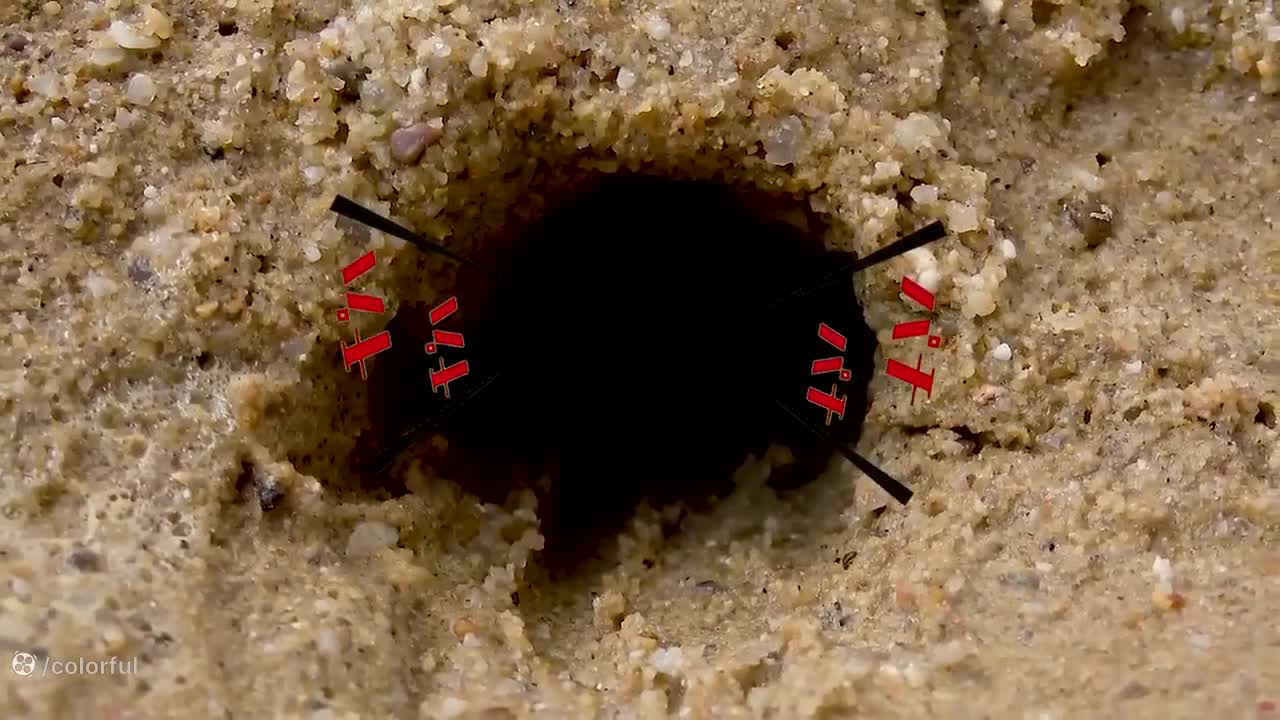 ماشین اسباب بازی کودکانه :: کارتون ماشین بازی :: ماشین های رنگی :: ماشین کودکانه