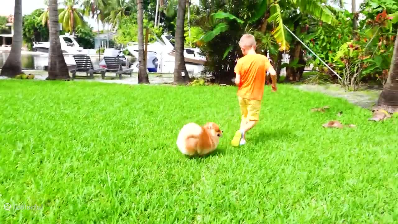 ولاد-ولاد و نیکی جدید ولاد و نیکیتا برنامه کودک ولاد و نیکی ولاد نیکیتا طولانی