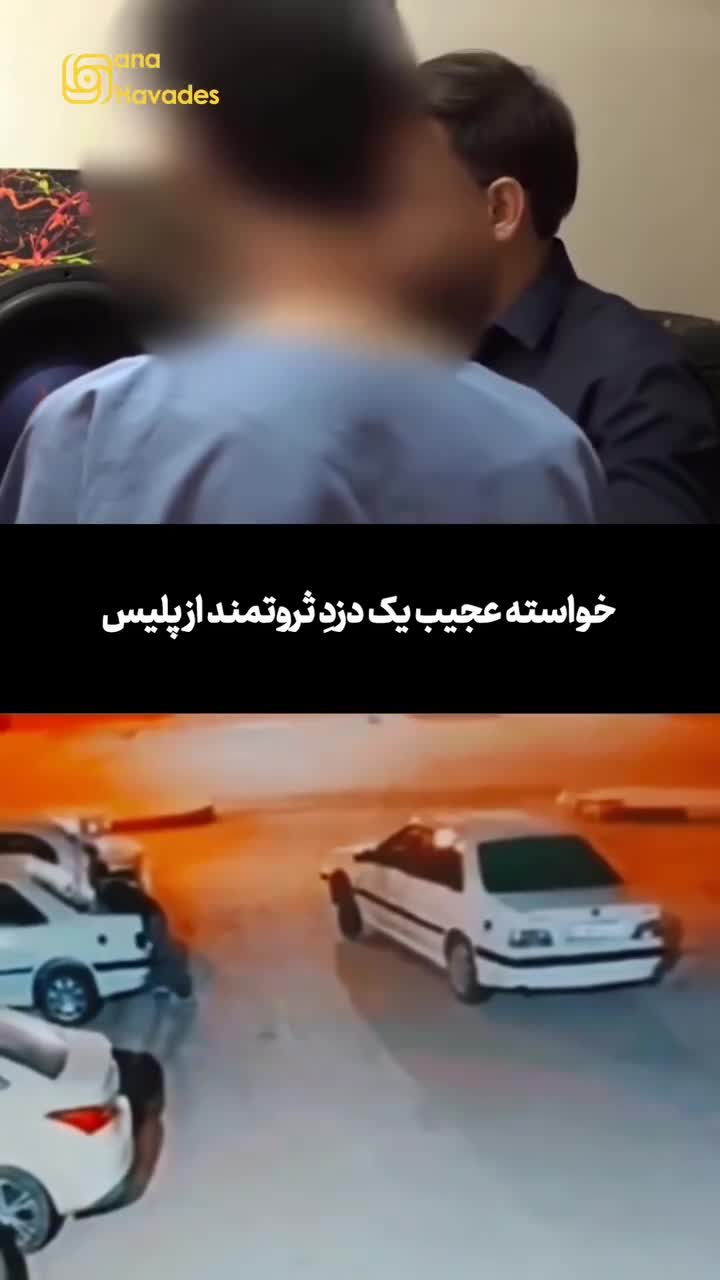   خواسته عجیب یک دزدِ ثروتمند از پلیس