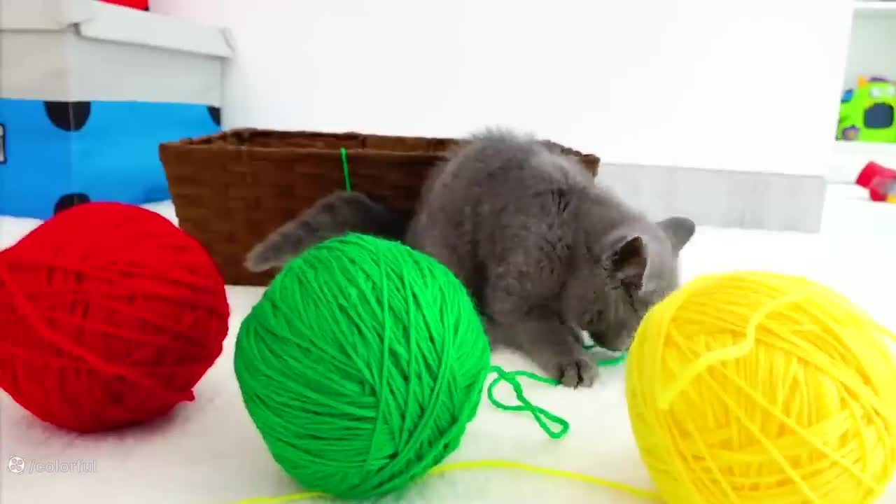 ولاد-ولاد و نیکی جدید ولاد و نیکیتا برنامه کودک ولاد و نیکی ولاد نیکیتا طولانی