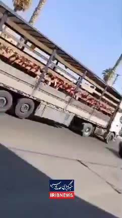   جابجایی دانش‌آموزان یک مدرسه در جهرم با کامیون