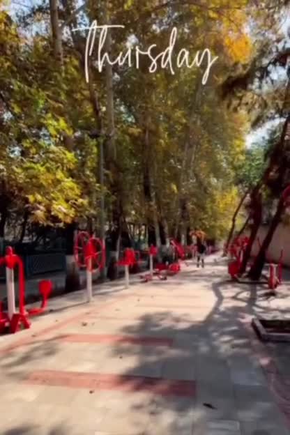   تمرینات انفرادی رامین رضاییان در پارک!