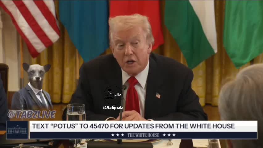   ادعای ترامپ درباره درخواست ایران!