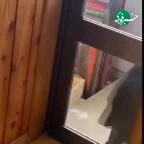   استقرار نیروهای ارتش ژاپن برای جنگ با خرس‌ها