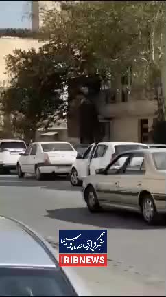   ورود میش وحشی به معابر شهری لواسان