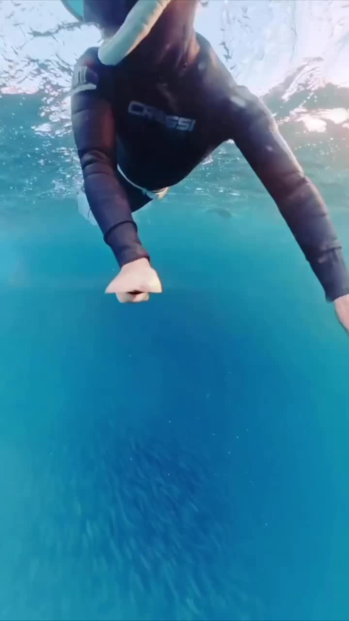   نجات از برخورد تصادفی با نهنگ هنگام غواصی