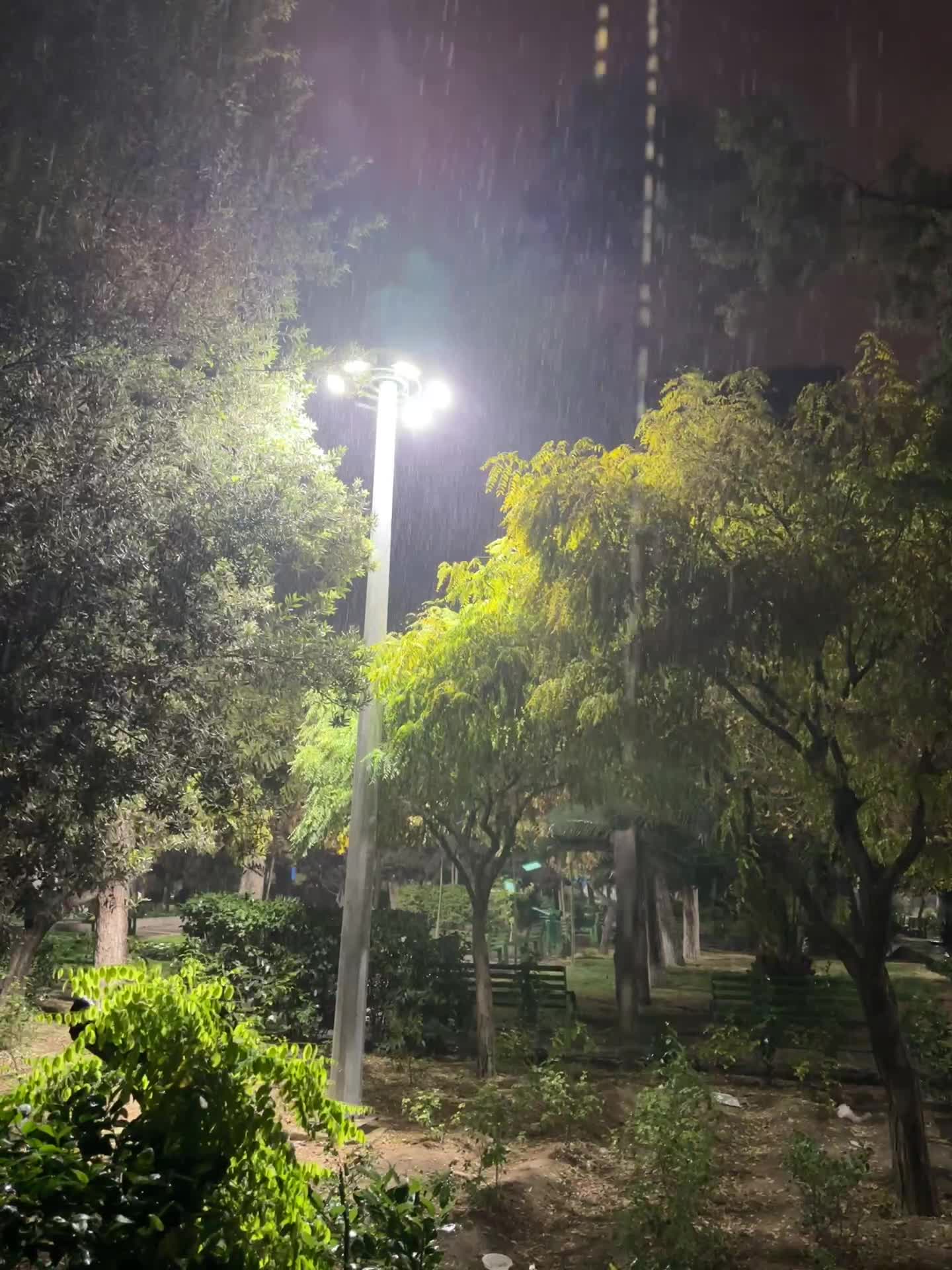   تصاویری از بارش شدید باران در تهران