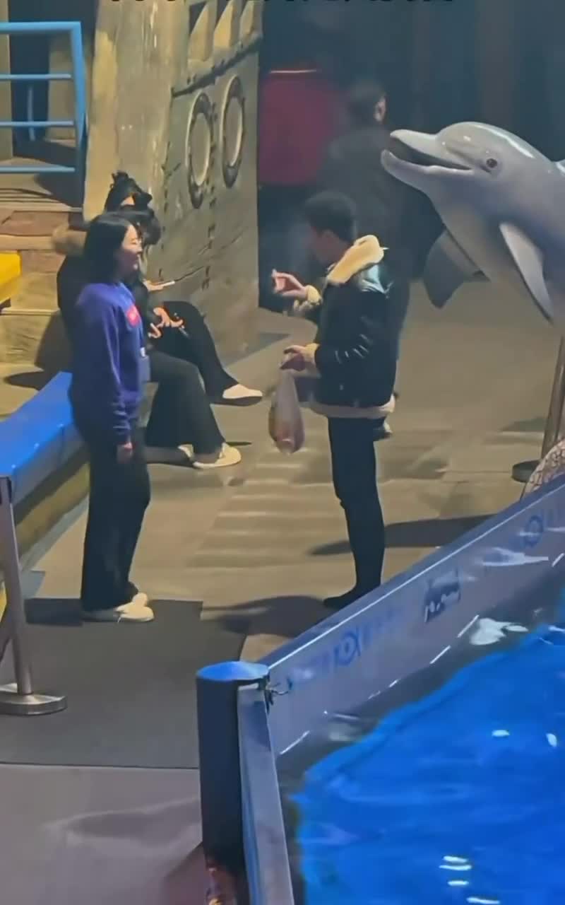   اقدام پندآموز نهنگ بلوگا؛ خاموش کردن سیگار فرد بازدیدکننده!