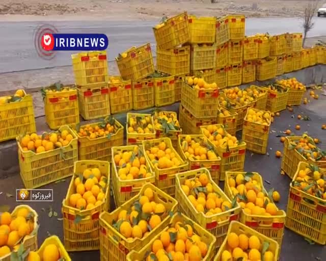   اقدام زیبای مردم در پی واژگونی کامیونت حامل مرکبات در محور فیروزکوه